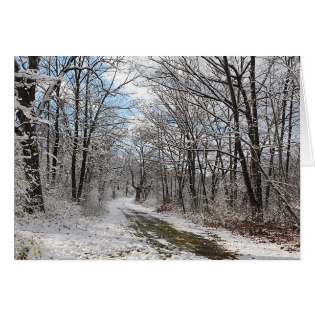 Winterwunder-Karte (Vorderseite (Horizontal))