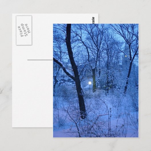 Winterwunder Land Postkarte (Vorne/Hinten)