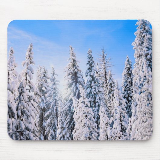 Winterwunder Pinienbäume im Schnee Mousepad (Vorne)