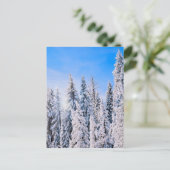 Winterwunder Pinienbäume im Schnee Postkarte (Stehend Vorderseite)