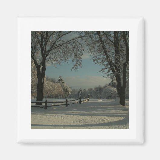 Winterwunderland 1 magnet (Vorne)