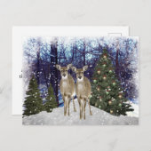 Winterwunderland Hirsch und Weihnachtsbaum Postkar Postkarte (Vorne/Hinten)