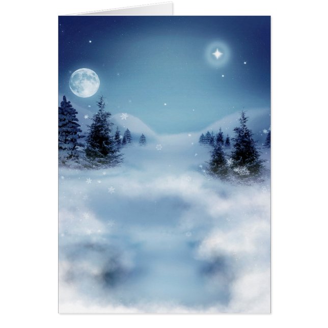 Winterwunderland in der Nacht (Vorne)