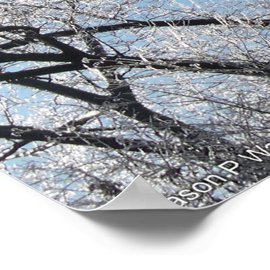 Winterwunderland mit Eisbäumen Poster (Ecke)