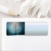 Winterwunderland mit Kaninchen (Insitu)