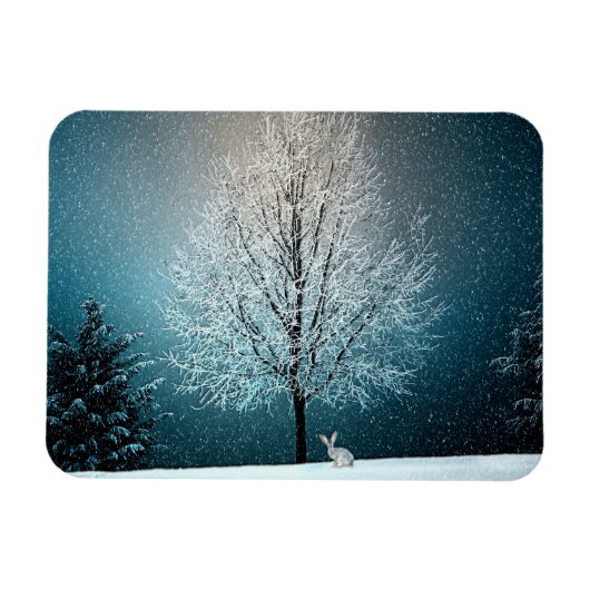 Winterwunderland mit Kaninchen Magnet (Horizontal)
