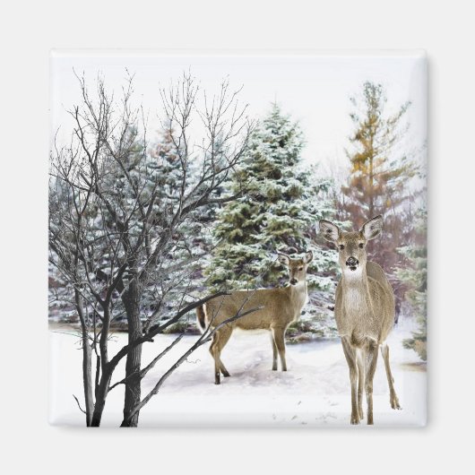 Winterwunderland mit Whitetail Deer Kühlschrank Magnet (Vorne)