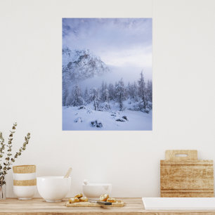 Winterwunderland, Nebel, Fichtenwald und Berg Poster