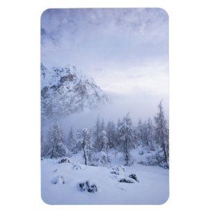 Winterwunderland, Nebel, Fichtenwald und Berge Magnet