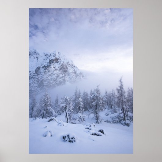 Winterwunderland, Nebel, Fichtenwald und Berge Poster (Vorne)