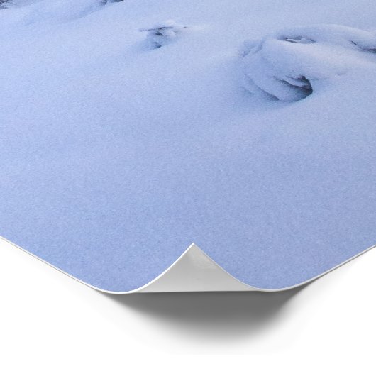 Winterwunderland, Nebel, Fichtenwald und Berge Poster (Ecke)