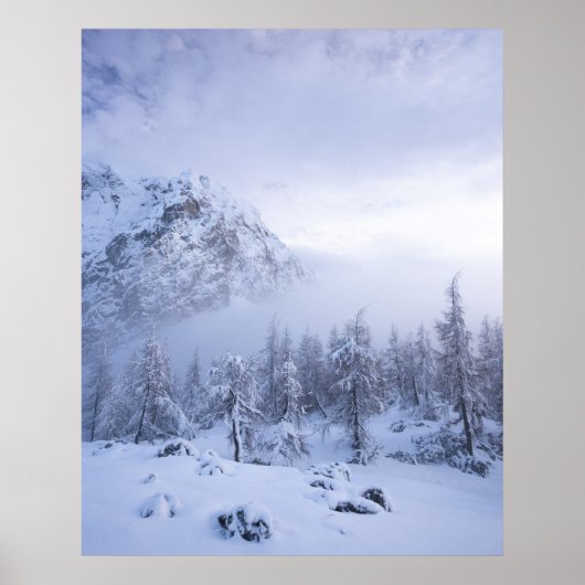 Winterwunderland, Nebel, Fichtenwald und Berge Poster (Vorne)