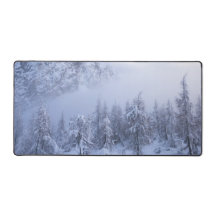 Winterwunderland, Nebel, Fichtenwald und Berge