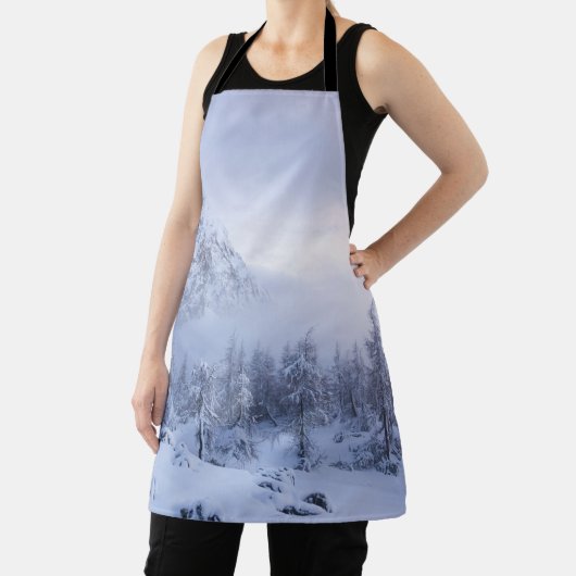 Winterwunderland, Nebel, Fichtenwald und Berge Schürze (InSitu)