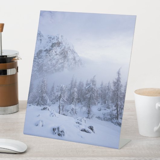 Winterwunderland, Nebel, Fichtenwald und Berge Sockelschild (In Situ)