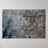 Winterwunderland Poster (Vorne)