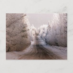 Winterwunderland - Postkarte