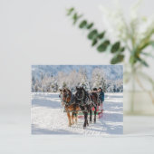 Winterwunderland Postkarte (Stehend Vorderseite)