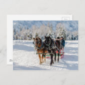 Winterwunderland Postkarte (Vorne/Hinten)