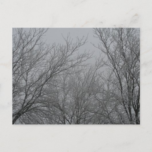 Winterwunderland Postkarte (Vorderseite)