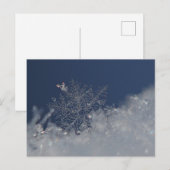 Winterwunderland Postkarte (Vorne/Hinten)