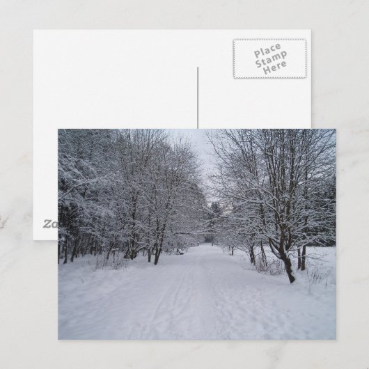 Winterwunderland Postkarte (Vorne/Hinten)