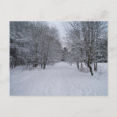Winterwunderland Postkarte (Vorderseite)