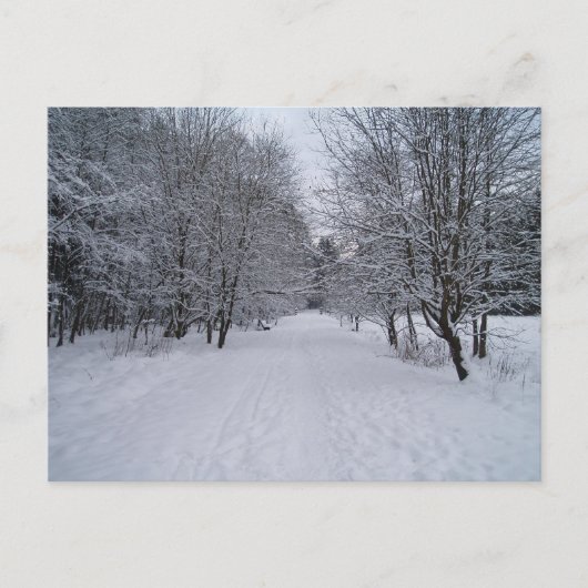 Winterwunderland Postkarte (Vorderseite)
