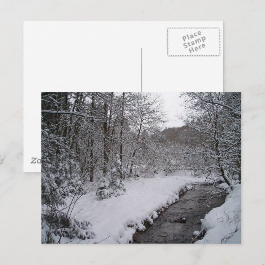 Winterwunderland Postkarte (Vorne/Hinten)