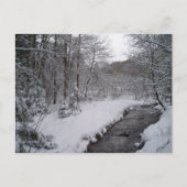 Winterwunderland Postkarte (Vorderseite)