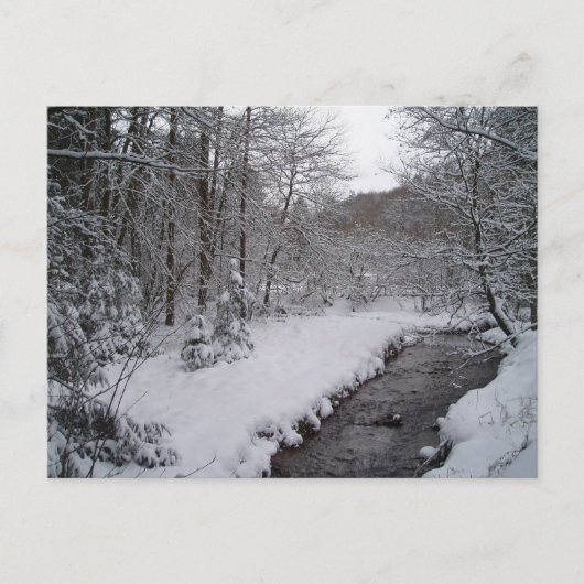 Winterwunderland Postkarte (Vorderseite)