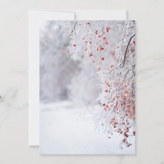 Winterwunderland, Snow String Lights UAWG Einladung (Rückseite)