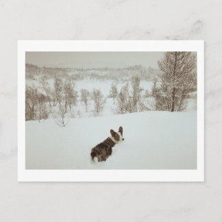 Winterwunderland Urlaub Postkarte