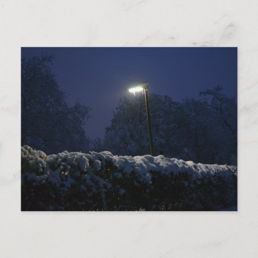 Winterwunderlandschaft Postkarte (Vorderseite)