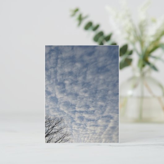 Wintery Clouds Postkarte (Stehend Vorderseite)