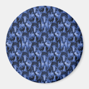 Wintery Narcissus.... Magnet