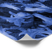 Wintery Narcissus... Poster (Ecke)