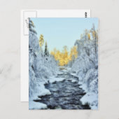 Wintery Stream Postkarte (Vorne/Hinten)