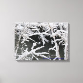 Wintery Stream Wrapped Canvas Leinwanddruck (Vorderseite)