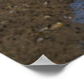 Winterzauber auf dem Athabasca-Fluss Poster (Ecke)