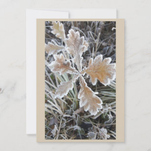 „Winterzauber – Einladung mit vereistem Blatt“
