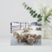 Winterzeit für Ziegen Postkarte (Stehend Vorderseite)