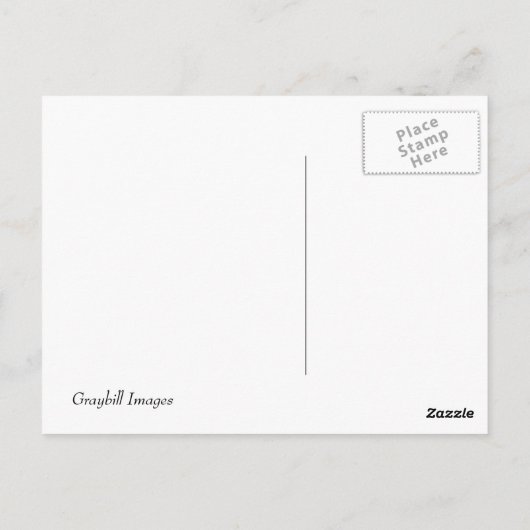 Winterzeit im Amphiland - Postkarte (Rückseite)