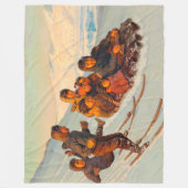 Winterzeit in Grönland Rasmussen 1875 Fleecedecke (Vorderseite)