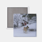 Winterzeit...... Magnet (Vorderseite/Rückseite)