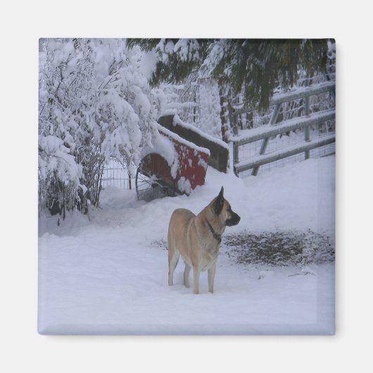 Winterzeit...... Magnet (Vorne)