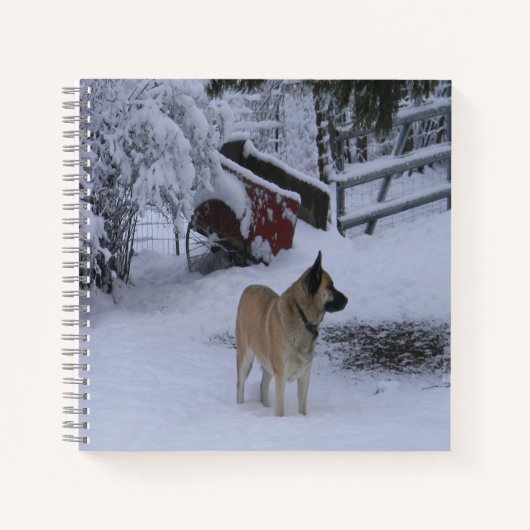 Winterzeit.... Notizblock (Vorderseite)