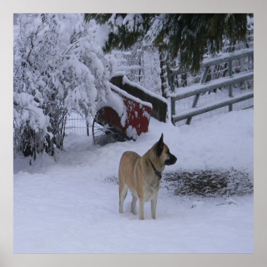 Winterzeit.... Poster (Vorne)