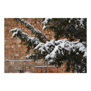 Winterzeit , Schnee auf den Bäumen Fotodruck