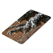 Winterzeit , Schnee auf den Bäumen Magnet (Linke Seite)